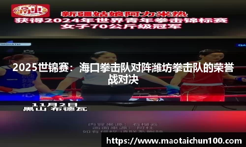 2025世锦赛：海口拳击队对阵潍坊拳击队的荣誉战对决